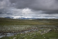 188 Norwegia Hardangervidda